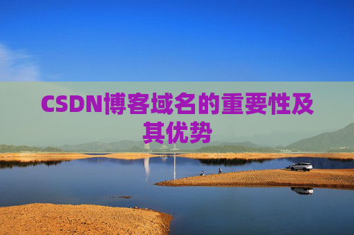 CSDN博客域名的重要性及其优势